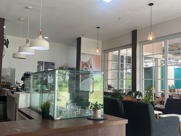 YunSin - Lakeside photo 4