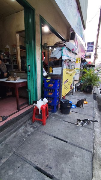 Bakmi Dian Jaya Pak Yoso photo 4