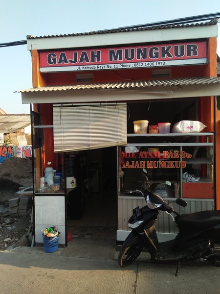 Mie Ayam dan Bakso Gajah Mungkur Karno(mie ayam jumbo) photo 5